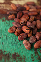 roasted cocoa chocolate beans on wood background