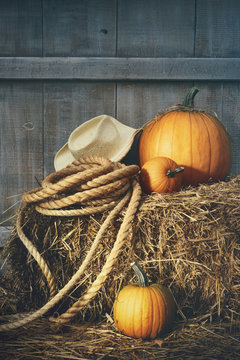 Pumpkins with rope and hat on hay