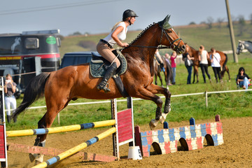 horse jumping