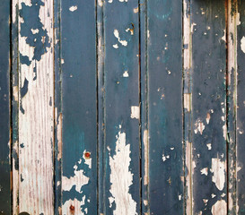Wood Texture