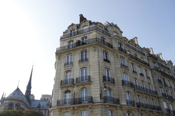 Fototapeta na wymiar Immeuble et Notre Dame de Paris
