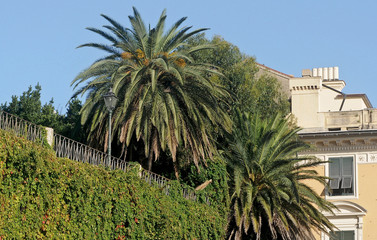 Houses with garden park