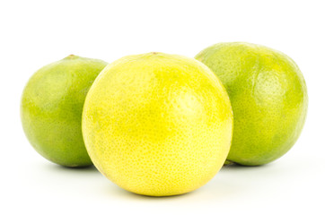 Lime
