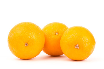Navel orange fruit