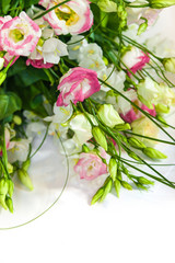 spring flowers background on white background