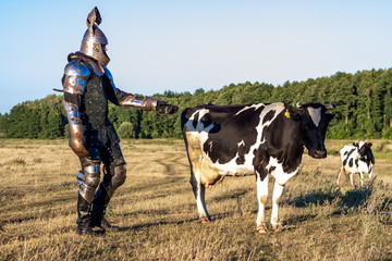 Medieval knight