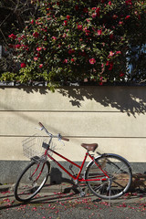 Fototapeta na wymiar bicycle parking in garden