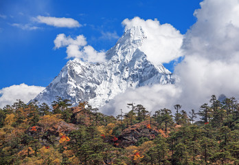 Autumn forest on the background of the sacred Ama Dablam peak