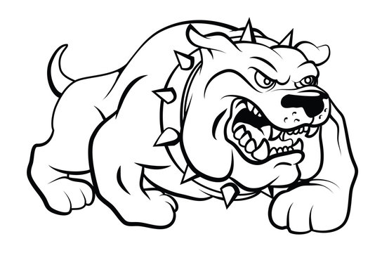 Bull Dog Vector Illustration