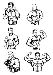 Body Builder Collection