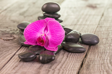 Fuchsia Moth orchid and black stones on weathered deck