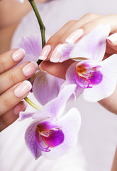 Obraz na płótnie Canvas Beautiful woman's nails with french manicure.