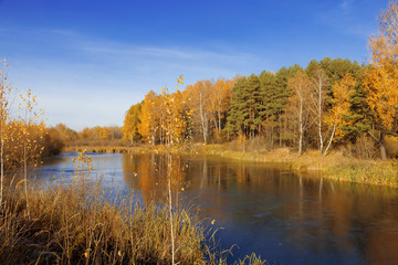 Autumn landscape
