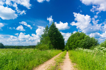 On a Country Lane Through the Green