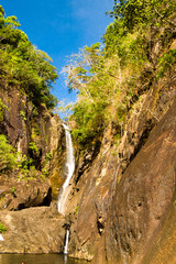River Flowing Jungle Scene