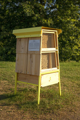 Hotel dla dzikich owadów zapylajacych