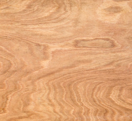 Texture of wood background closeup