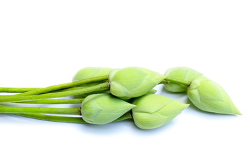 Green blossom lotus flower isolated on white background.
