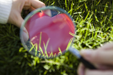 People who look at the heart through a magnifying glass