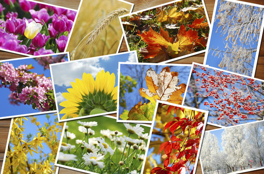 four seasons of the year images collection