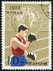 stamp printed in North Korea  shows Boxing