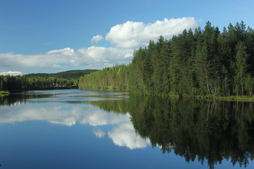 Reflections of the forest on a Swedish lake in Varmland