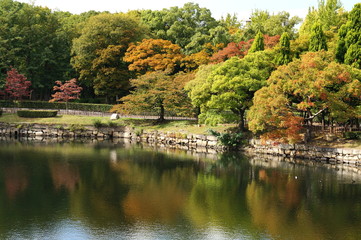 Fototapeta na wymiar 大阪城公園の秋