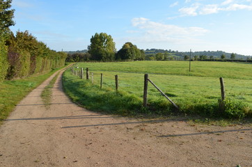 Paysage du Pays d'Auge (Normandie)
