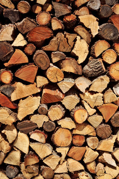 Firewood Logs