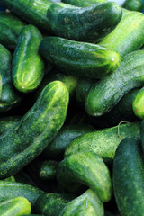 green cucumbers background