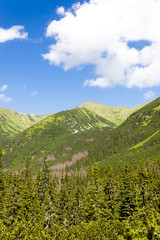 Fototapeta na wymiar Hlinska Valley, Vysoke Tatry (High Tatras), Slovakia