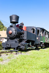 Fototapeta na wymiar steam locomotive, Viglas, Slovakia