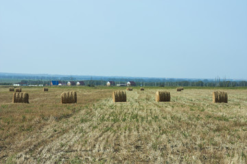 agricultural work for haymaking