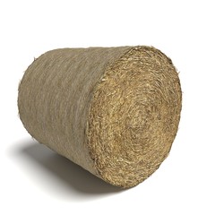 3d illustration of a hay bale © abramsdesign