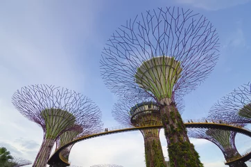 Zelfklevend Fotobehang Gardens by the Bay, Singapore © cescassawin
