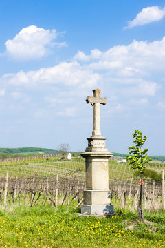 cross with vineyard near Nemcicky, Czech Republic
