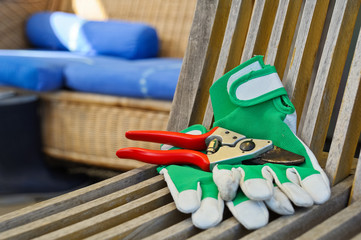 Schere und Handschuh für Gartenarbeit