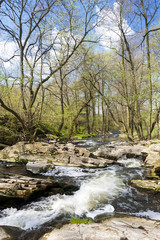 spring landscape with Vyrovka brook, Czech Republic