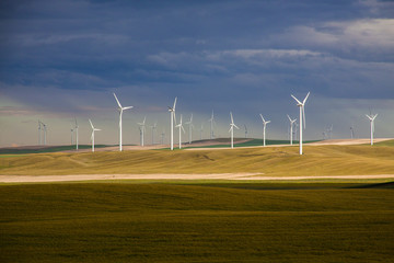 wind farm