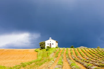 Foto op Canvas chapel with lavender field, Plateau de Valensole, Provence, Fran © Richard Semik