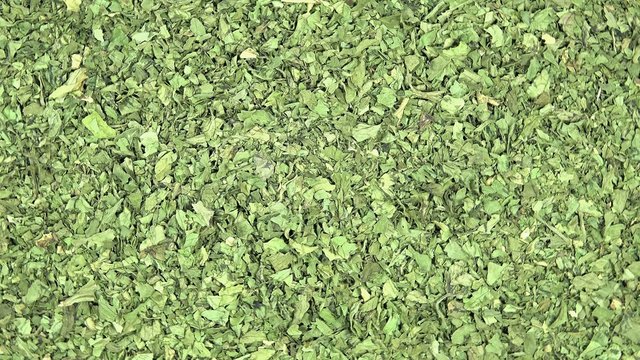 Dried Lovage background footage (loopable)