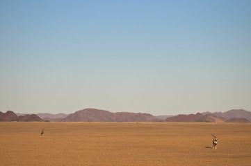 Oryxantilope, Namib-Naukluft-Park, Namibia, Afrika