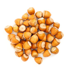 Hazelnut bunch