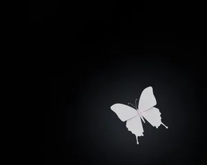 Fototapeten Vlinder van papier in spot light © emieldelange