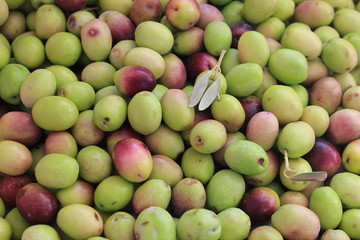 Fresh green olives with leaves