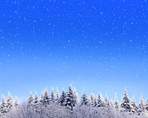 Winter background and snowfall. 