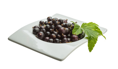 Black currant