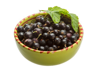Black currant