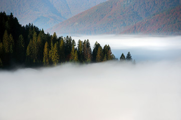 Autumn landscape