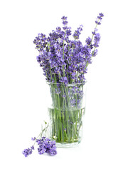Fototapeta premium lavender in a glass isolated on white